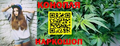 прущие грибы Добрянка