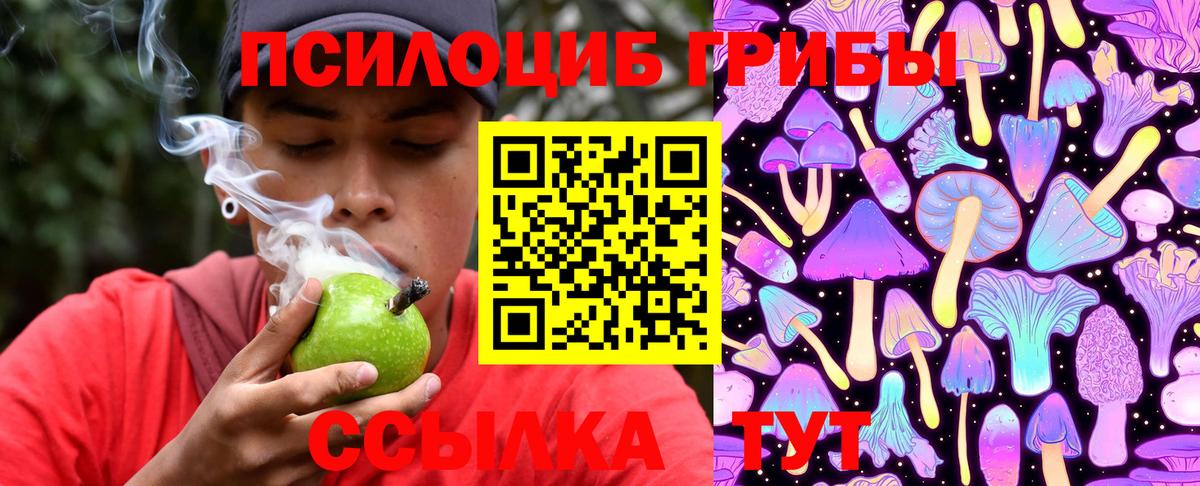 Псилоцибиновые грибы прущие грибы Волжск